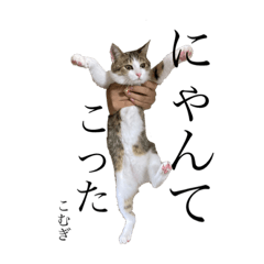 [LINEスタンプ] こむぎちゃんといっしょ その1