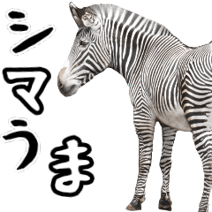 [LINEスタンプ] ほほえみフレンズ。シマウマの日常生活