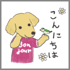 [LINEスタンプ] レトリバーのくうちゃん・まいにちスタンプ