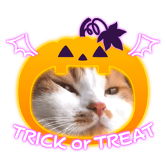 [LINEスタンプ] リラックスち〜ちゃん