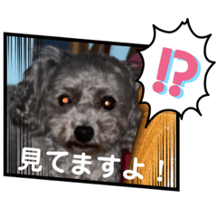 [LINEスタンプ] 桃太郎スタンプ 2