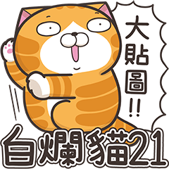 [LINEスタンプ] ランラン猫 21 (台湾版)の画像（メイン）