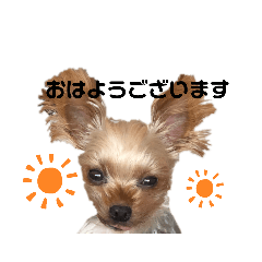 [LINEスタンプ] ミント君の日常