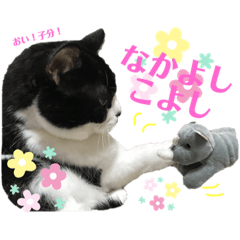 [LINEスタンプ] にゃんこの秋冬の画像（メイン）