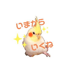 [LINEスタンプ] るちのーず！①