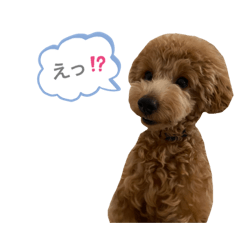 [LINEスタンプ] はなちゃんの気持ち！