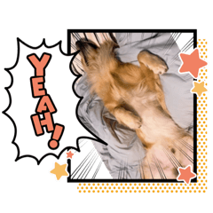 [LINEスタンプ] 愉快な怜央28