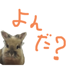 [LINEスタンプ] うさぎキラ✨2