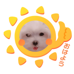 [LINEスタンプ] うゆのスタンプ②