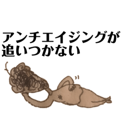 [LINEスタンプ] 瀬戸内・デザイン・恵子の怠惰