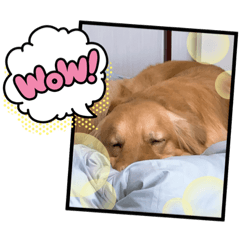 [LINEスタンプ] 愉快な怜央29
