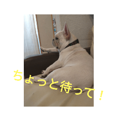 [LINEスタンプ] フレブルよしこちゃん3