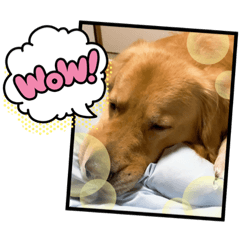 [LINEスタンプ] 愉快な怜央30