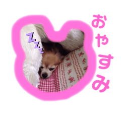 [LINEスタンプ] 吉岡レオちゃん2