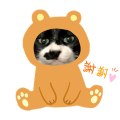 [LINEスタンプ] ブーチンゲール(1)