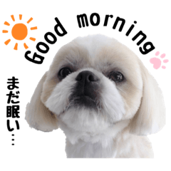 [LINEスタンプ] 虎太朗 第3弾