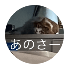 [LINEスタンプ] あのひのきみへ