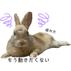 [LINEスタンプ] むぎChannel その3