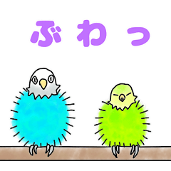 [LINEスタンプ] インコのアミちゃんと聖ちゃん。