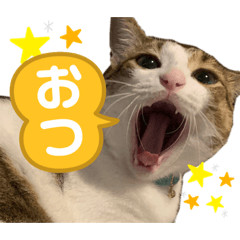 [LINEスタンプ] 俺様は小次郎。5改
