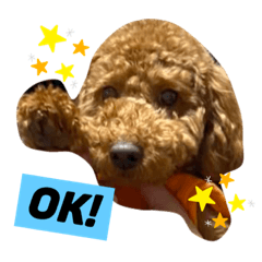 [LINEスタンプ] かわええ！ろこちゃん！の画像（メイン）