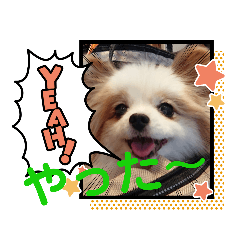 [LINEスタンプ] 武居familiar11