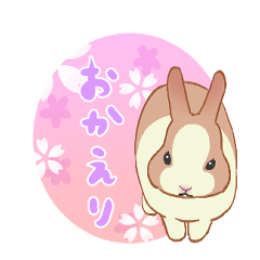 [LINEスタンプ] ほんわかうさぎのパールちゃんスタンプ