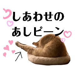 [LINEスタンプ] こつぶ様の日常