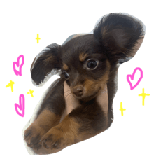 [LINEスタンプ] Happy makes us happy