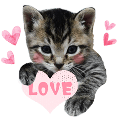 [LINEスタンプ] ジジwithトド＆チャッピー