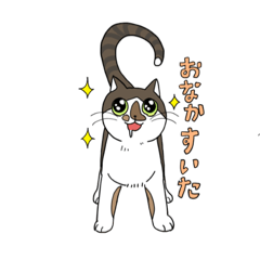 [LINEスタンプ] うちのねこ達①