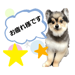 [LINEスタンプ] 畠山家の愛犬スタンプ♡