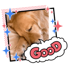[LINEスタンプ] 愉快な怜央31
