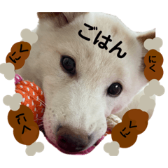 [LINEスタンプ] 諭吉イベント