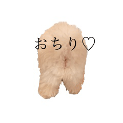 [LINEスタンプ] ぺろちの毎日！