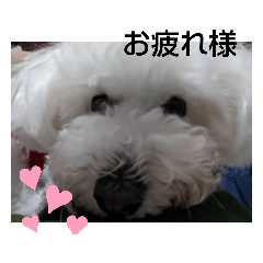 [LINEスタンプ] 我が家とお友達