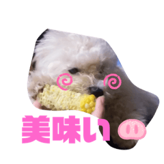 [LINEスタンプ] ナラファミリー12