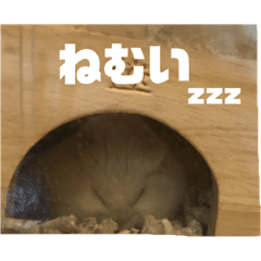 [LINEスタンプ] ハムのぽっちゃん