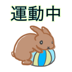 [LINEスタンプ] うさぎの日常 会話表現