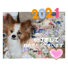 [LINEスタンプ] ぱぴぱぴパピヨン11