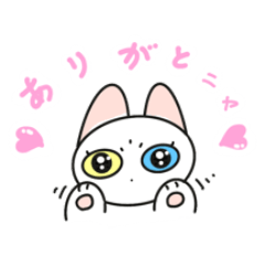 [LINEスタンプ] 白ねこ ぽんちゃん よくつかう