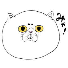 [LINEスタンプ] みゃこだよ