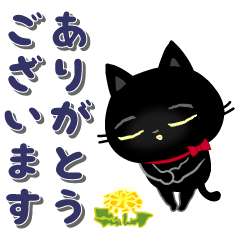 [LINEスタンプ] 動く☆黒猫子猫ちゃん・日常生活編。の画像（メイン）