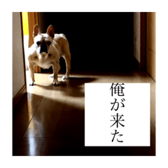 [LINEスタンプ] ハナやがな