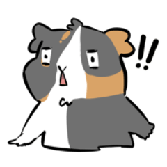 [LINEスタンプ] 上からモルモット