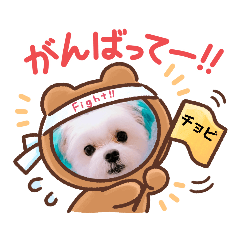 [LINEスタンプ] tyobi79