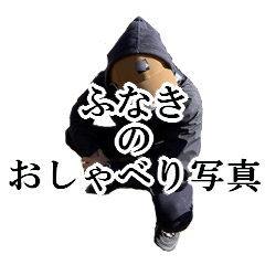 [LINEスタンプ] ふなきの写真おしゃべり