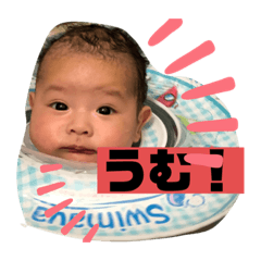 [LINEスタンプ] ナラファミリー16