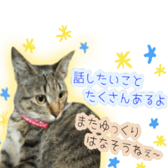 [LINEスタンプ] ねころぶ...わんこも一緒に