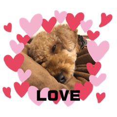 [LINEスタンプ] 世界で一番可愛いうちの子もか2